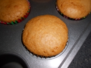 lemon-brownies-and-pumpkin-muffins-019