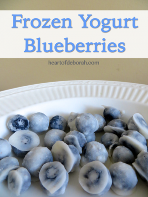 Frozen-Yogurt-Blueberries