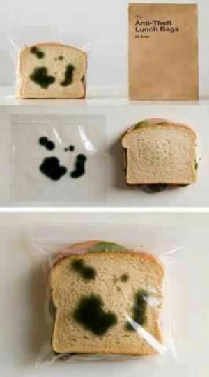 moldy sandwich