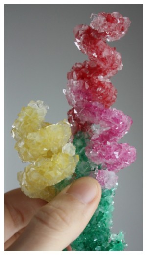 crystal-flowers-borax-crystals-pipe-cleaners-590x1024
