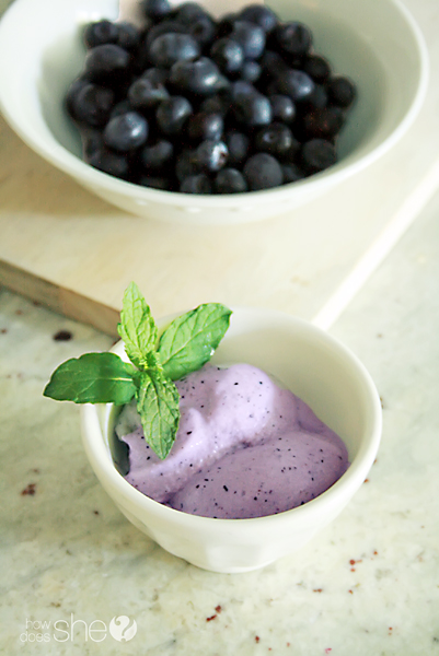 blueberry gelato recipe (4)