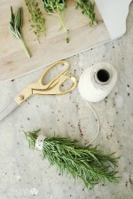 Preserving Fresh Herbs How Does She