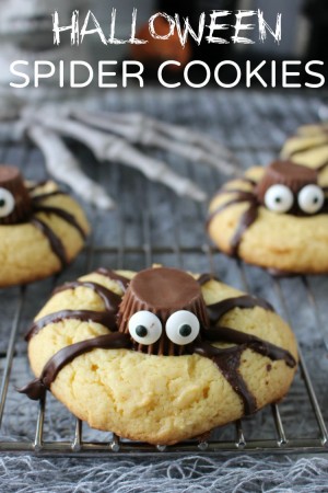 Spider-cookies