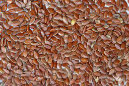 flax seeds copy