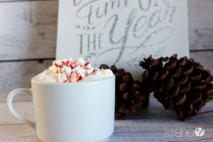 peppermint-white-hot-chocolate-4