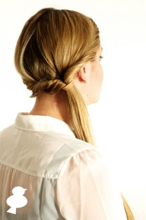 Doubletwist Ponytail