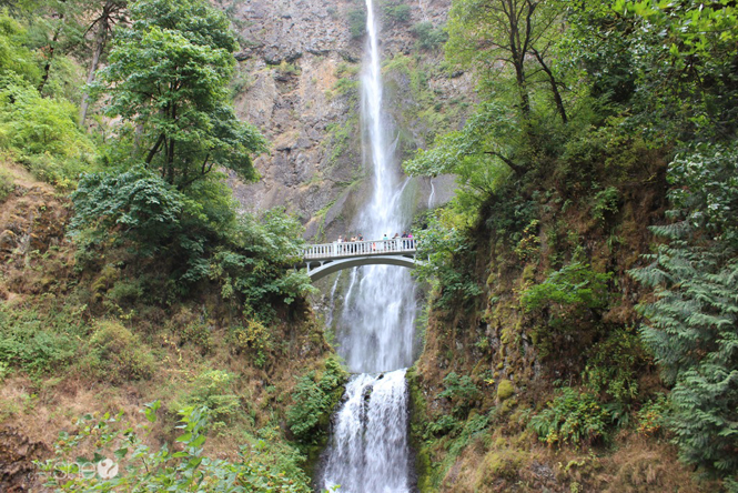 12 Reasons the Oregon Coast is Even Better than Disneyland