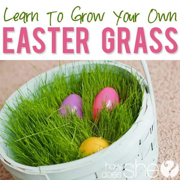 Grow Your Own Easter Basket Grass!