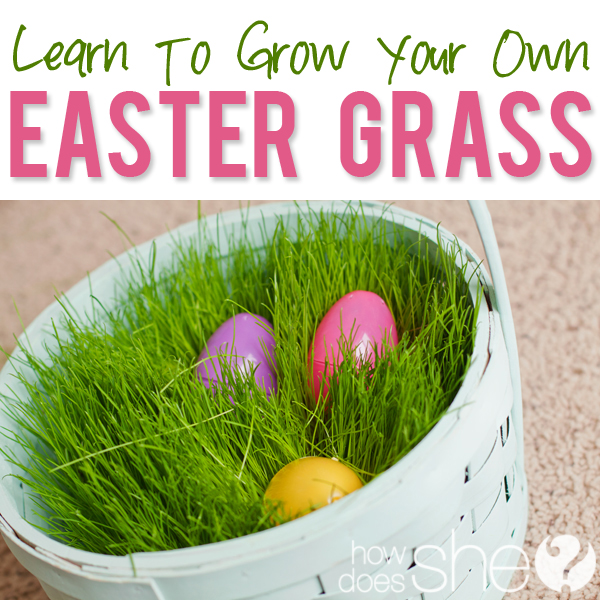 Get your Easter grass growing! Here's how to sprout this holiday staple