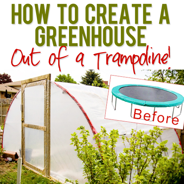 How to Create a Greenhouse out of a Trampoline