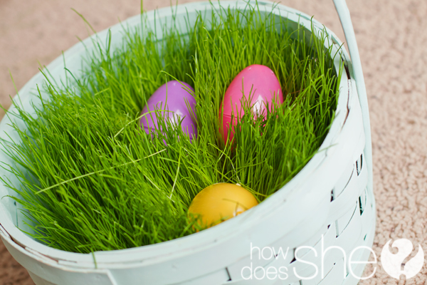 Grow Your Own Easter Basket Wheat Grass