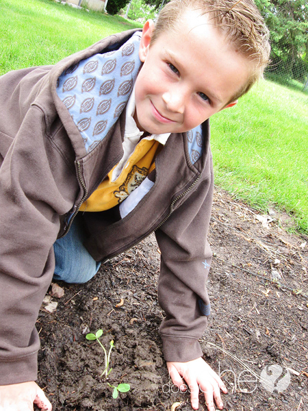 Gardening With Your little Green Thumb