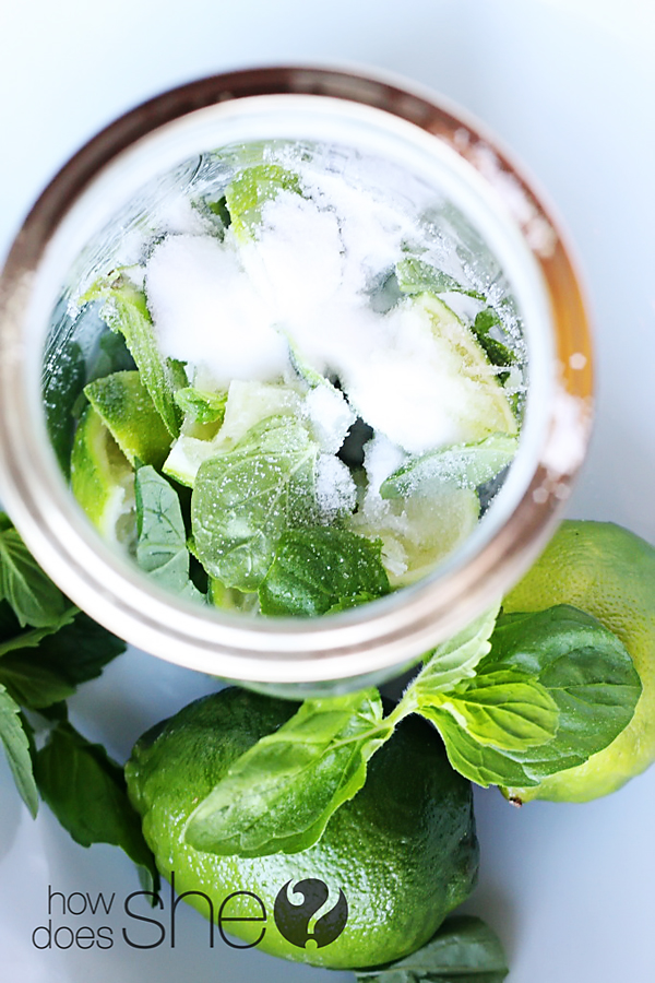 Easy and delicious Mint Limeade recipe