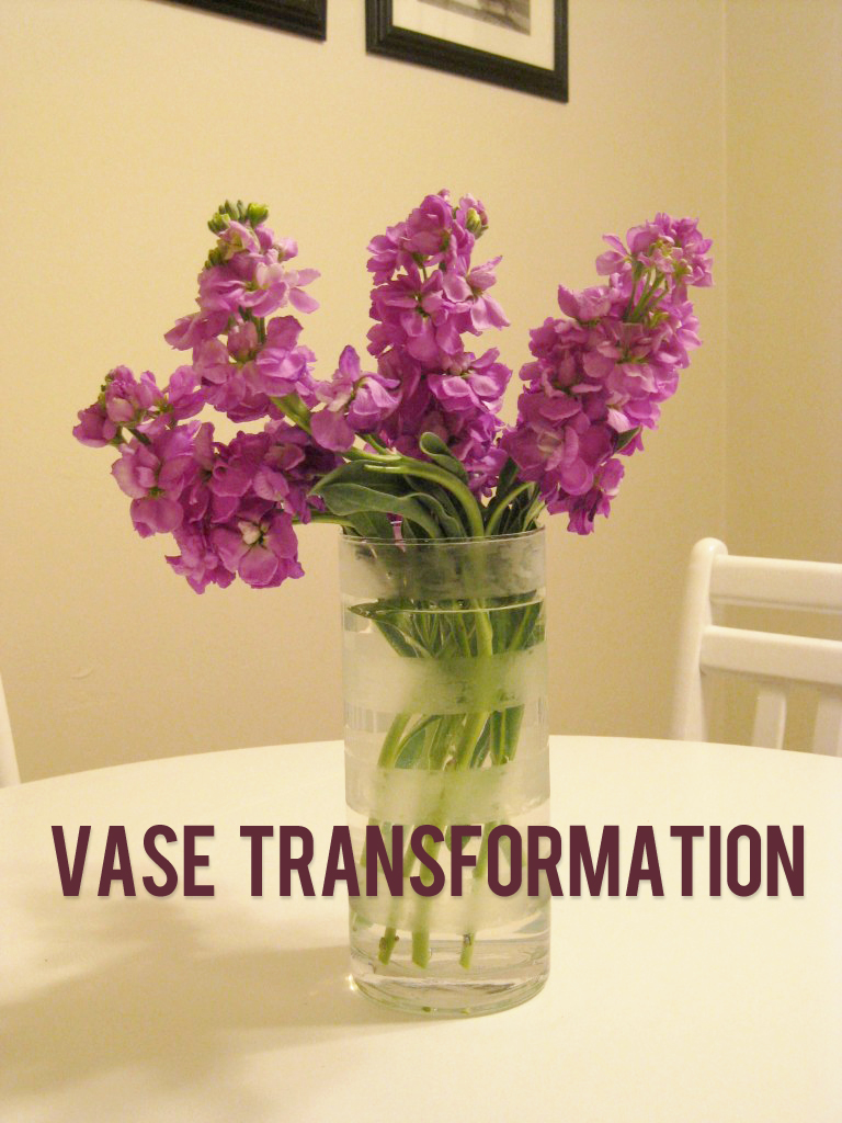 Vase Transformation