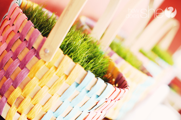 Easter Traditions: How to Grow Easter Basket Grass