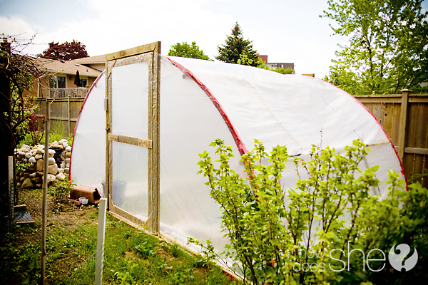 How to Create a Greenhouse out of a Trampoline